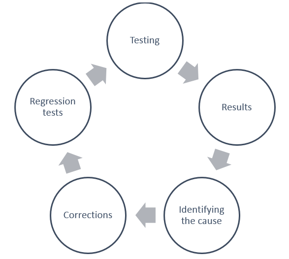 process of successful debugging